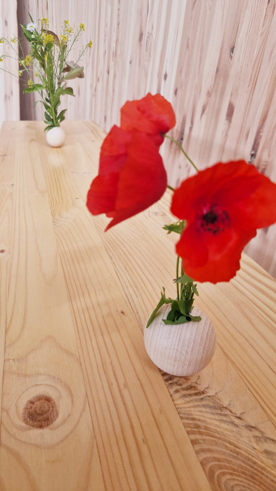 Bücherregal ROOT | aus Kiefernholz | lackiert od. Farbe | Maßanfertigung - Kletterling – einfach Kind sein