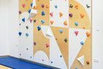 Kletterwand BK INDOOR aus 8 Teilen | 236 cm x 312 cm | inkl. 60 Griffen | 160 Loch - Kletterling – einfach Kind sein