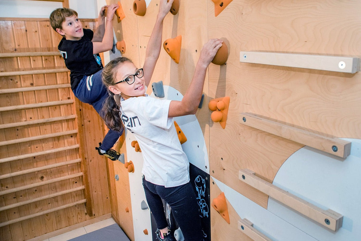 Kletterwand BK INDOOR aus 6 Teilen | 236 cm x 234 cm | inkl. 45 Griffen | 120 Loch - Kletterling – einfach Kind sein